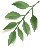 tecnología de vanguardia