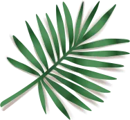 maquillaje y belleza